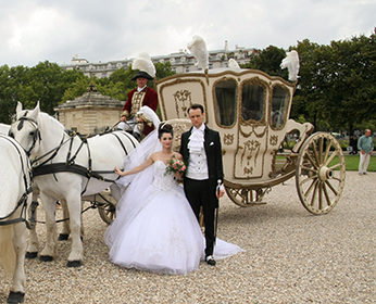 WP-Wedding planner, votre organisateur et décorateur de mariage Paris…